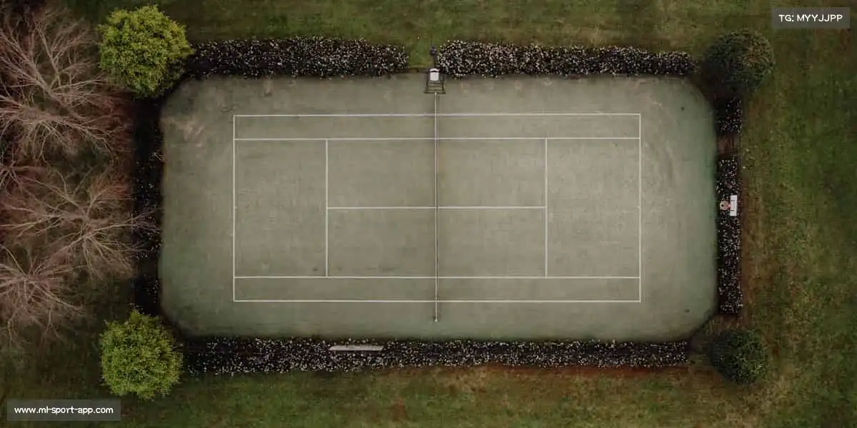 为什么选择我们